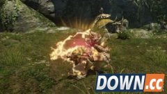 怪物猎人ol弩炮怎么全弹暴射 弩炮全弹暴射连招方法介绍