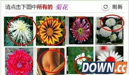 12306验证码刷新频率太快怎么办