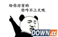 你咋不上天呢到底是什么梗?回忆专用小马甲马建国另类回应