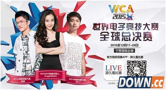 2015WCA奖金分布表