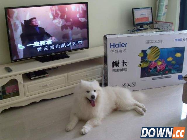 海尔电视联手阿里巴巴会发生什么