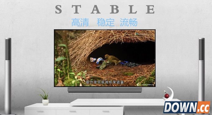 芝麻TV国内收费多少