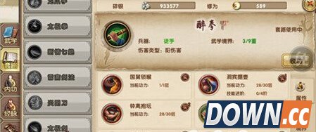 九阴真经江湖武学是什么