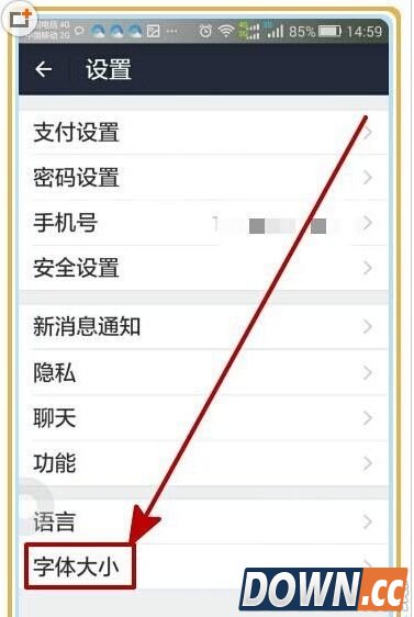 支付宝怎么更改字体大小