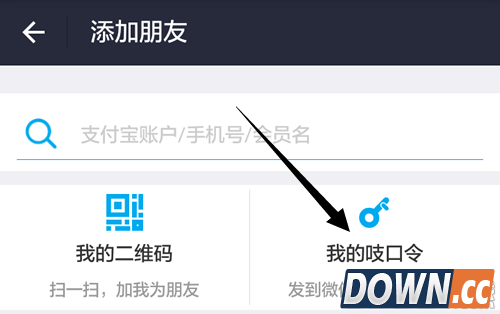 支付宝吱口令是什么