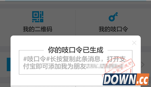 支付宝吱口令是什么