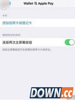怎么使用Applepay支付