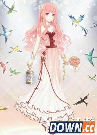 奇迹暖暖踏雪提灯听春晓怎么搭配好