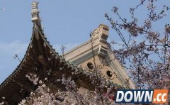 2016武大樱花赏樱门票怎么预约 16年武大樱花门票价格