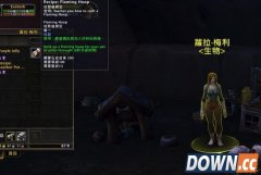魔兽世界7.0宠物新玩具宠物火圈获得方法
