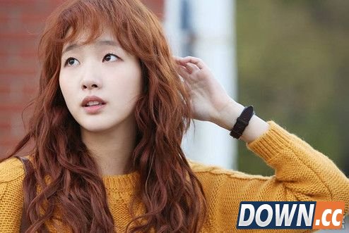 泰迪刘海是什么意思