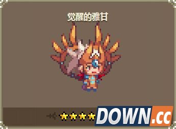 克鲁赛德战记觉醒的雅甘