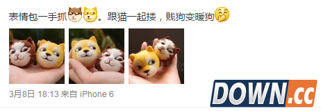 超萌毛毡版doge狗喵喵表情