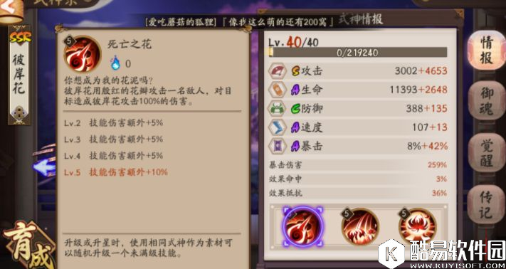 我克制一切！阴阳师版本最强SSR彼岸花攻略解析