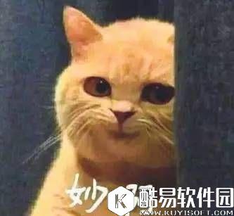 梦幻手游超级大熊猫特殊技能大揭秘！
