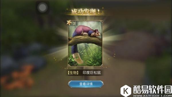 大航海之路树上的小黑影隐藏发现物流程攻略