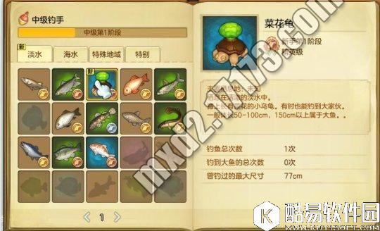 冒险岛2钓鱼攻略 菜花龟在哪儿钓、菜花龟在哪张地图 冒险岛2钓鱼攻略 菜花龟在哪儿钓、菜花龟在哪张地图