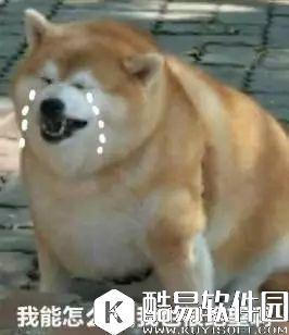 想要一金币秒杀金刚定魂，你还需要更新这件装备