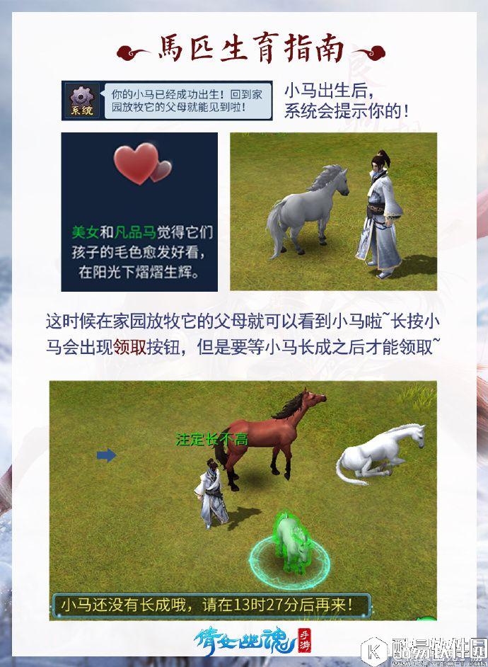 倩女幽魂马匹繁育教程 怎么繁殖马