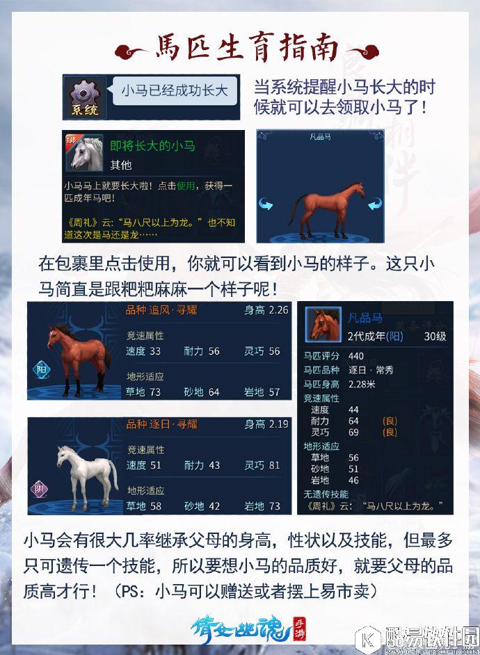 倩女幽魂马匹繁育教程 怎么繁殖马