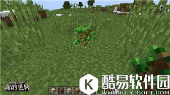 我的世界植物完全指南：普通植物的妙用