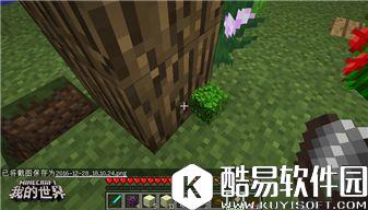 我的世界植物完全指南：普通植物的妙用