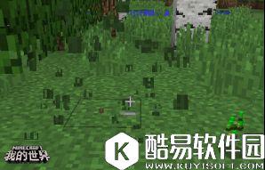 我的世界植物完全指南：普通植物的妙用