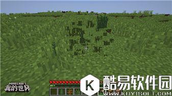 我的世界植物完全指南：普通植物的妙用