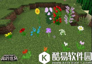 我的世界植物完全指南：普通植物的妙用