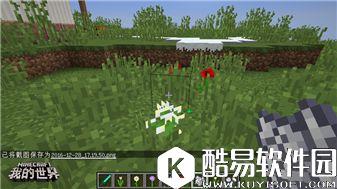 我的世界植物完全指南：普通植物的妙用