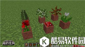 我的世界植物完全指南：普通植物的妙用