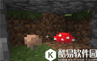 我的世界植物完全指南：普通植物的妙用