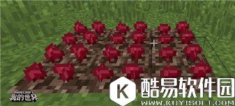 我的世界植物完全指南：普通植物的妙用