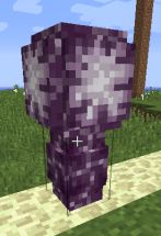 我的世界植物完全指南：普通植物的妙用