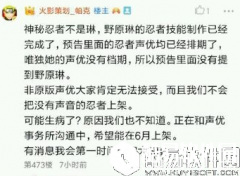 火影忍者手游神秘B忍推测