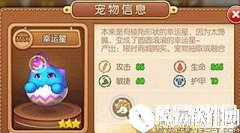 弹弹堂平民宠物推荐 最适合平民的宠物