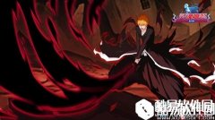 灵魂撕裂黑崎一护介绍