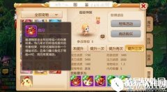 梦幻西游超级神猴加点打书攻略