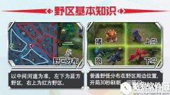 想要成为团队节奏的核心 王者荣耀打野基础教学