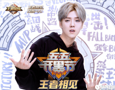 王者荣耀明星ID大全 你遇见过他们吗