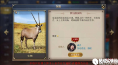 大航海之路发现物位置攻略：阿拉伯剑羚