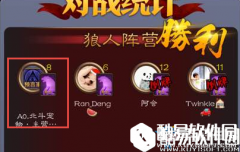 天天狼人杀金水什么意思