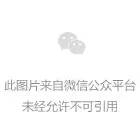 龙之谷手游公会营地派对活动介绍