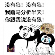 天天狼人杀萌新玩家的聊天神逻辑
