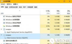 wsappx是什么进程   Win10系统中的wsappx进程有什么作用