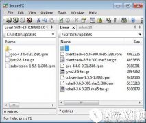 SecureFX64位V8.1.3.1382官方版