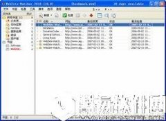 WebSite-WatcherV17.2.0.100中文绿色版
