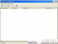 WirelessNetViewV1.7.5.0官方版