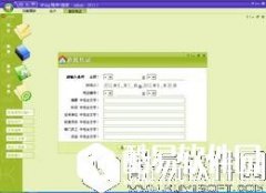 4Fang财务软件U盘版V2015.06.0.26正式版