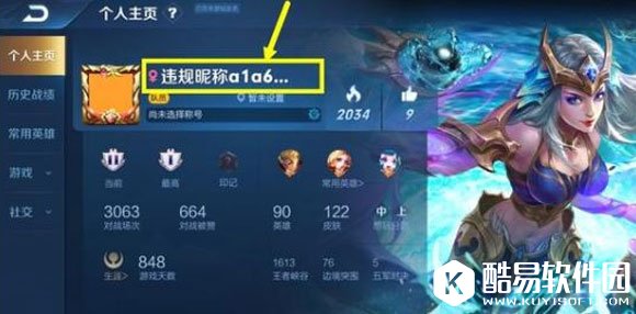 王者荣耀违规昵称